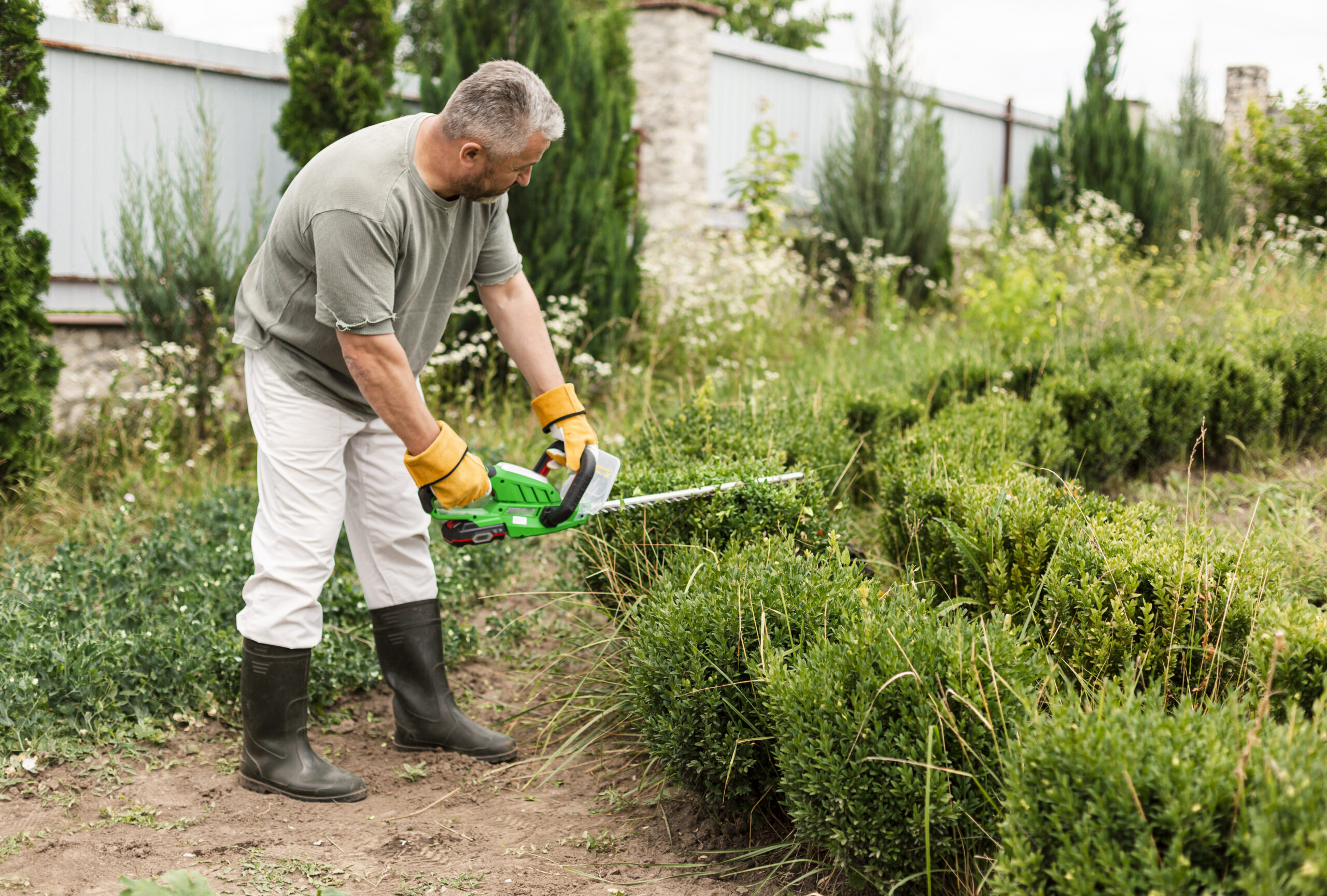 Plant Removal Services for a Fresh Start